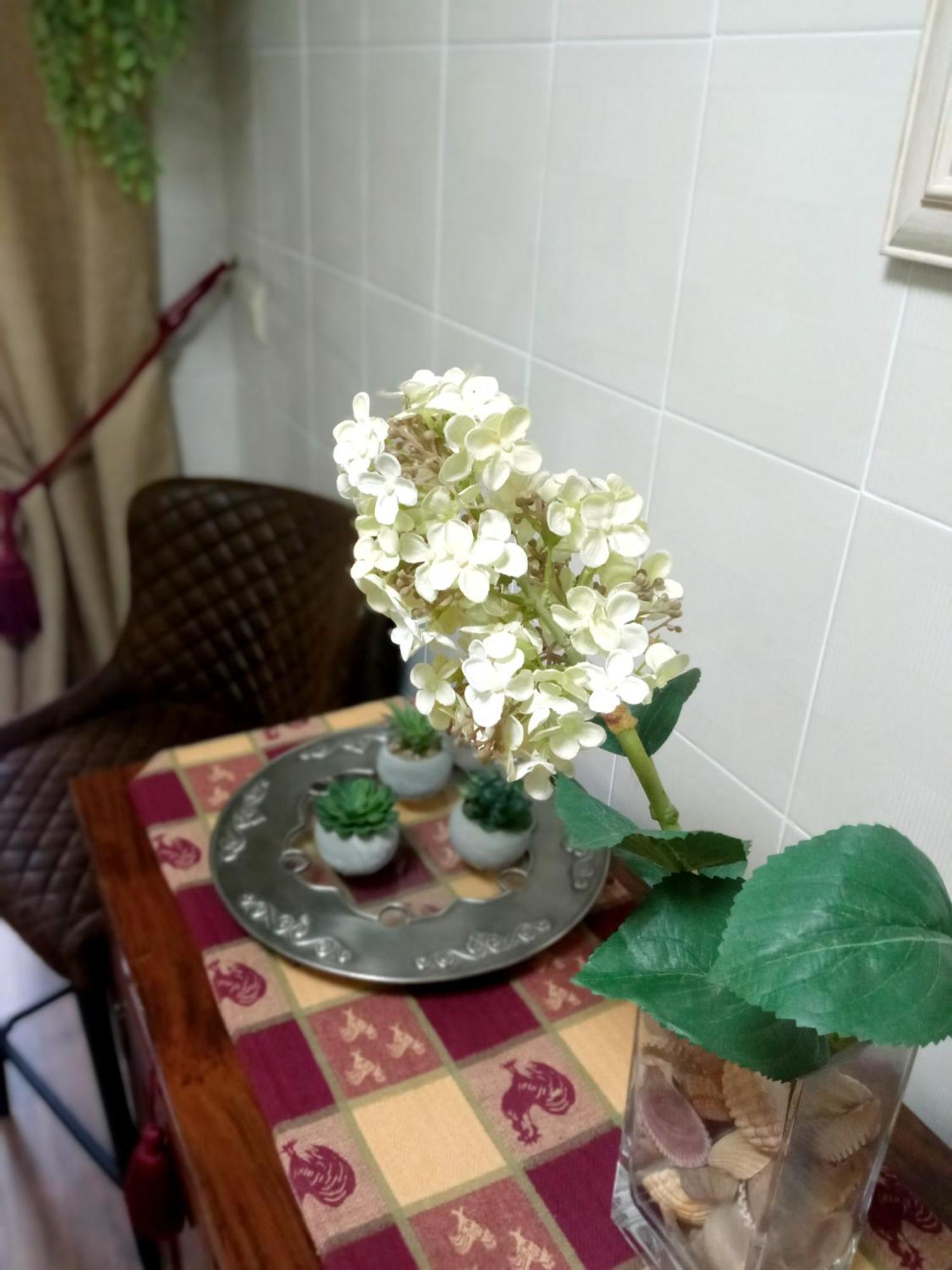 Casa De Nina Apartment Cordoba Ngoại thất bức ảnh